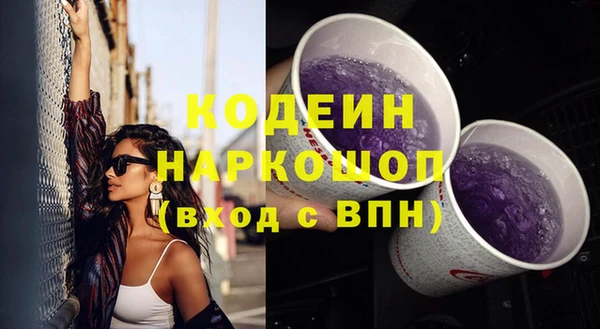 эйфоретик Алзамай