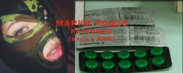 эйфоретик Алзамай