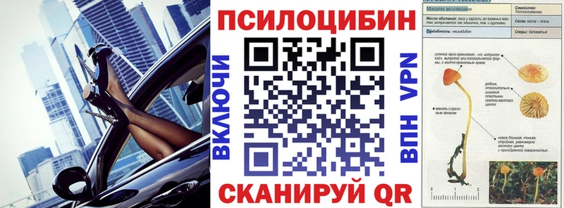 Галлюциногенные грибы Psilocybe  МЕГА вход  Хвалынск 